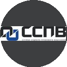 Профессиональная Коллекторская организация ССПВ