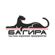 ЧОП Багира плюс